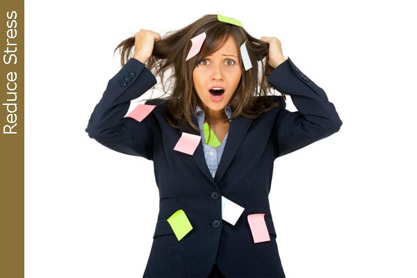 Christine Marie Hypnotherapy, Hypnotist in Tampa