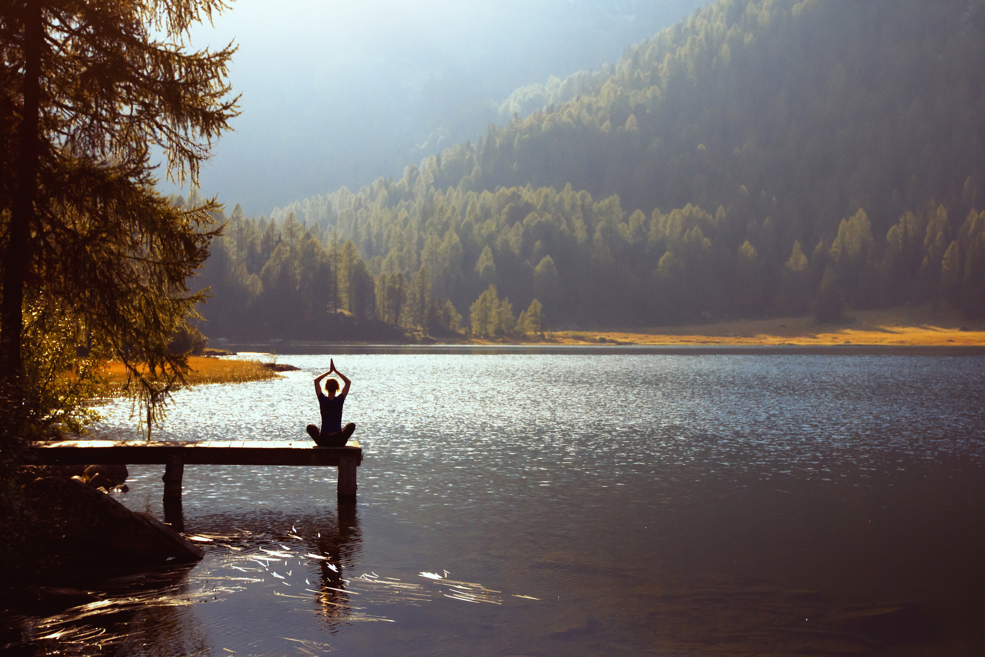 Cornelia Taubmann, EMDR, Certified Hypnotherapist in Portland