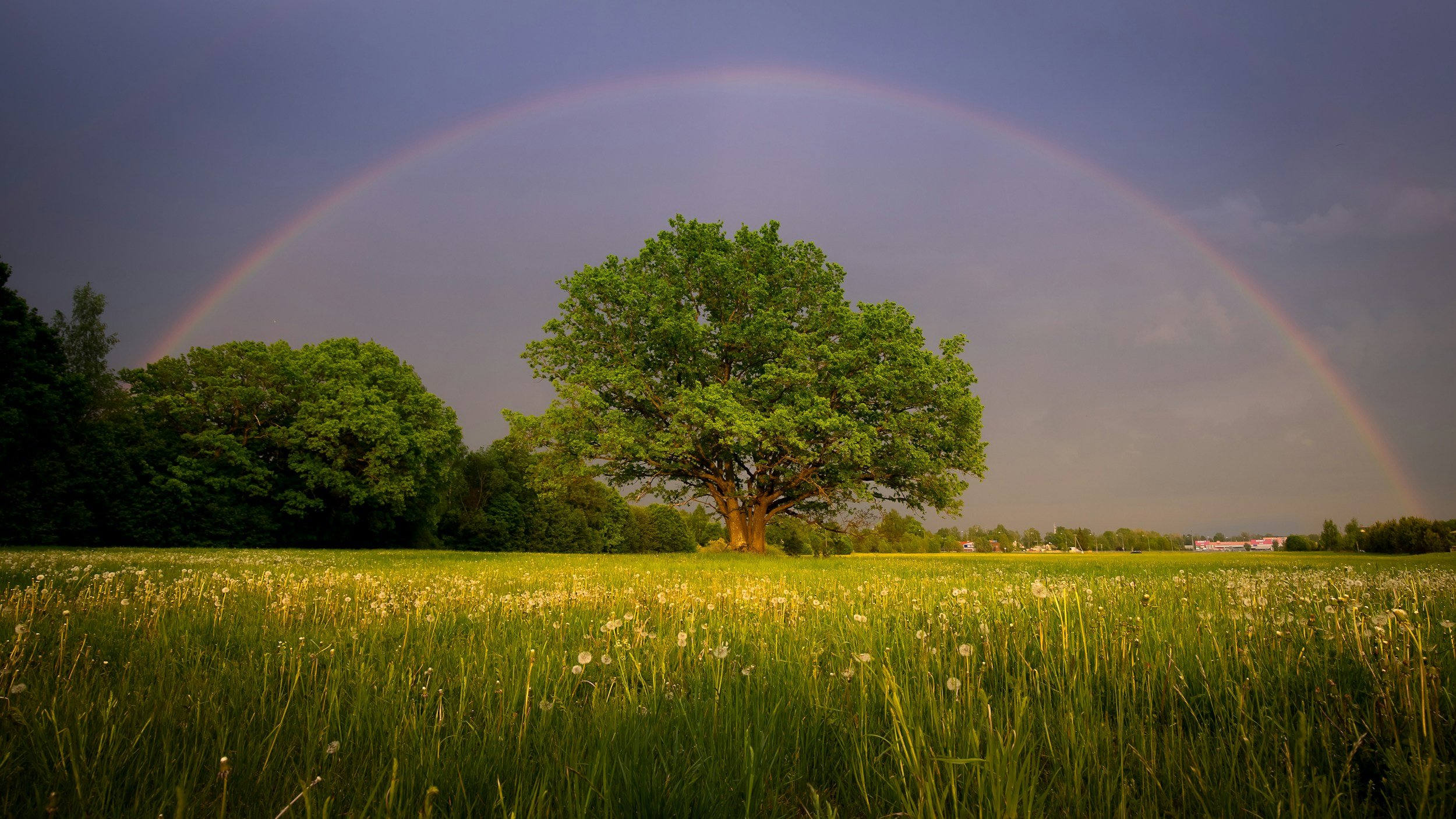 Homlistic Healing LLC, Hypnotist in Scottsdale