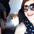International Clinical Hypnotherapy, Hypnotist in San Diego
