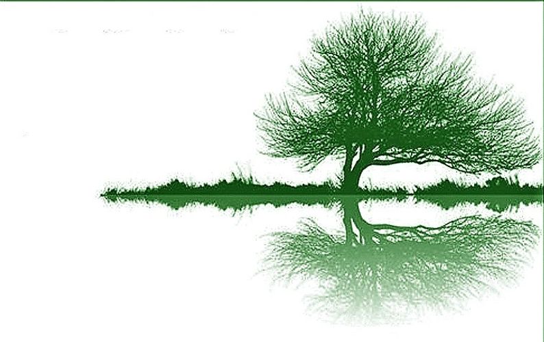Iuri Alayev