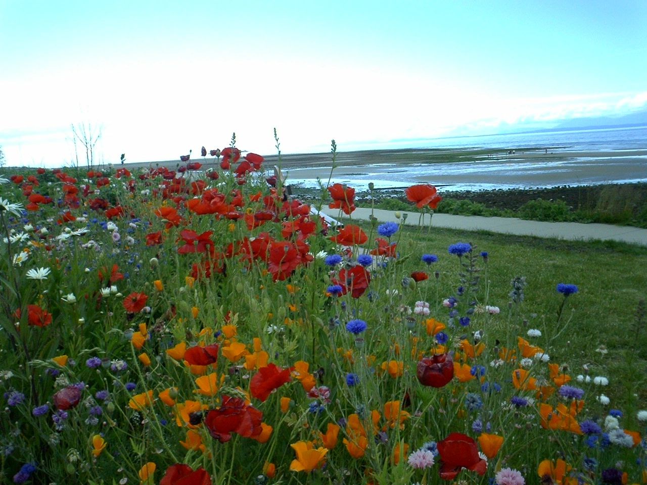 Kims Hypnotherapy, Hypnotist in Surrey