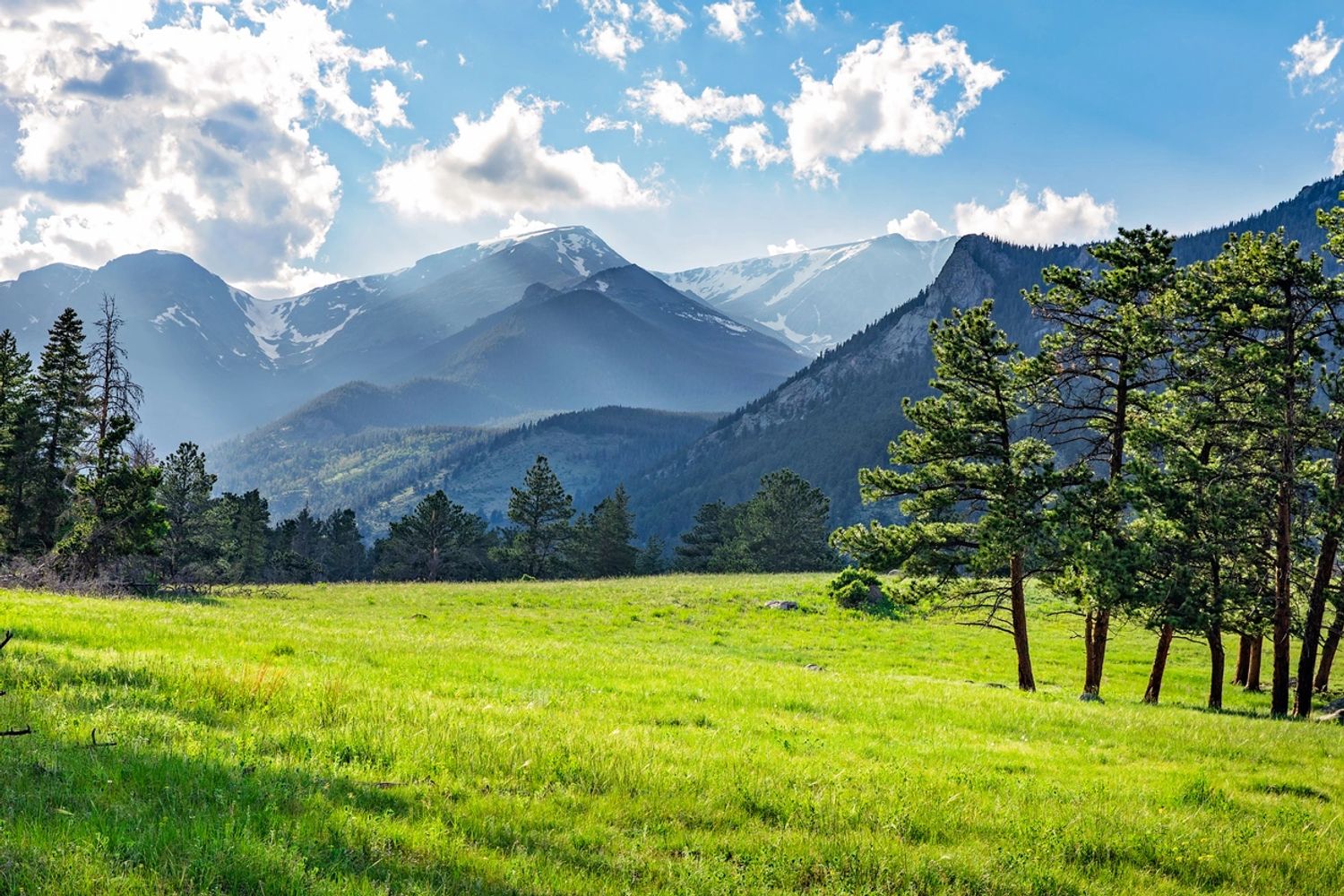 Daria Mann, LMFT, Licensed Hypnotherapist in Denver
