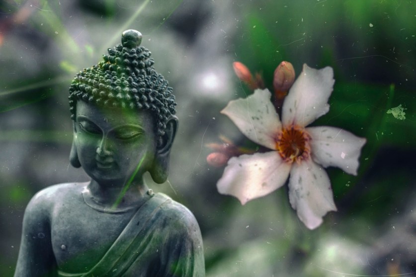 Mindful Peripeteia
