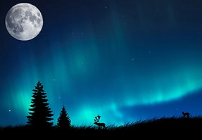 Northern Lights Therapy and Counseling