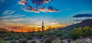 Soulshine of Tucson